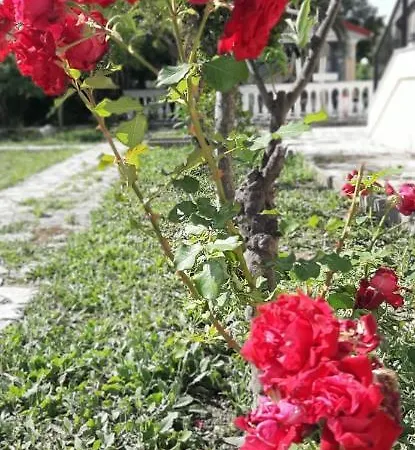 Zefiros Apart-hotel Gouviá