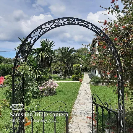 Zefiros ゴウヴィア